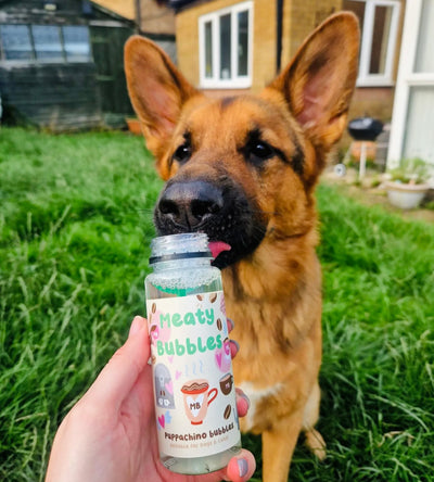 Puppachino Bubbles