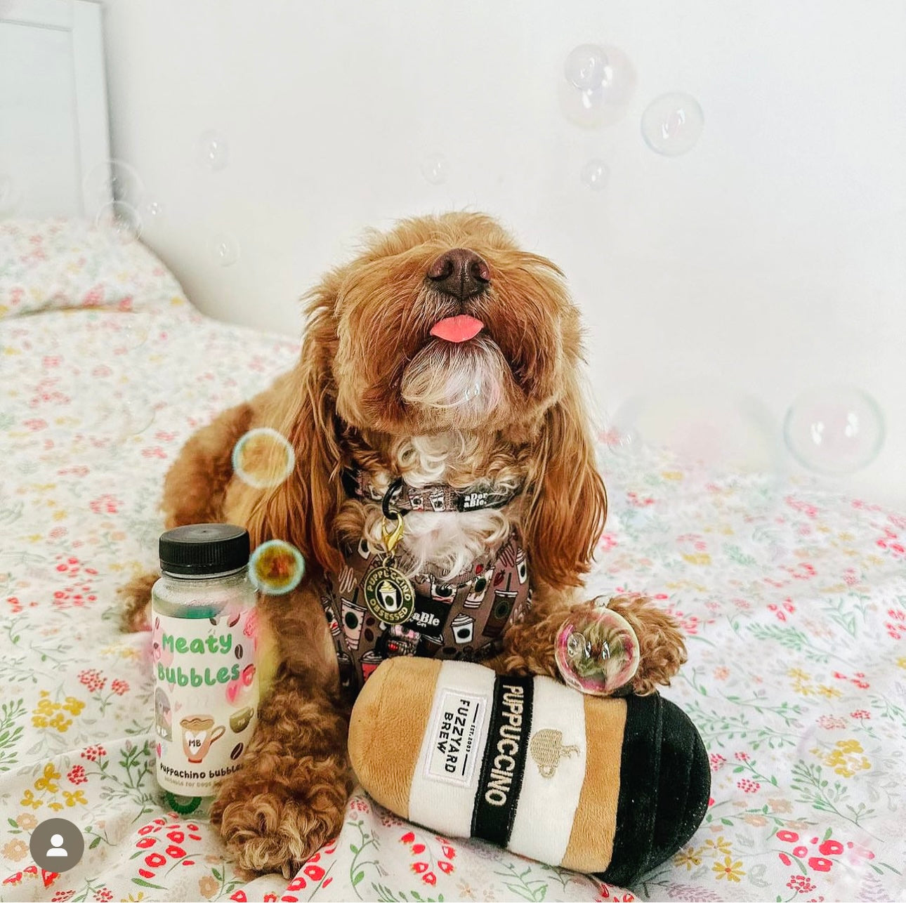 Puppachino Bubbles