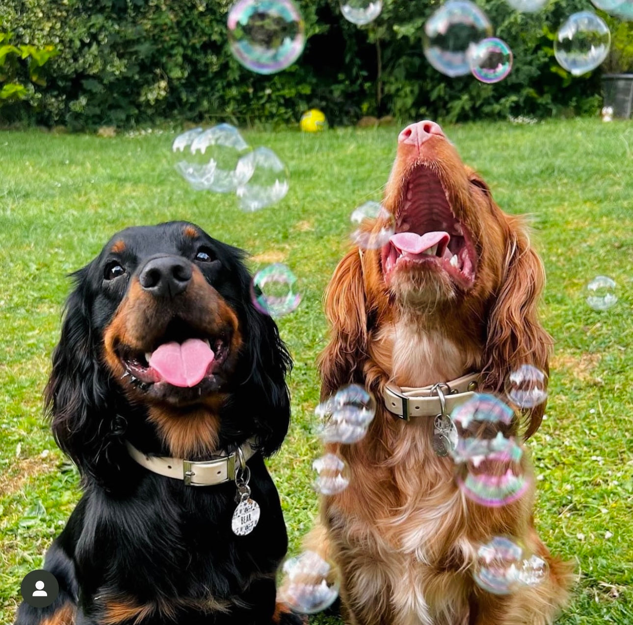 Smokey Bacon Bubbles