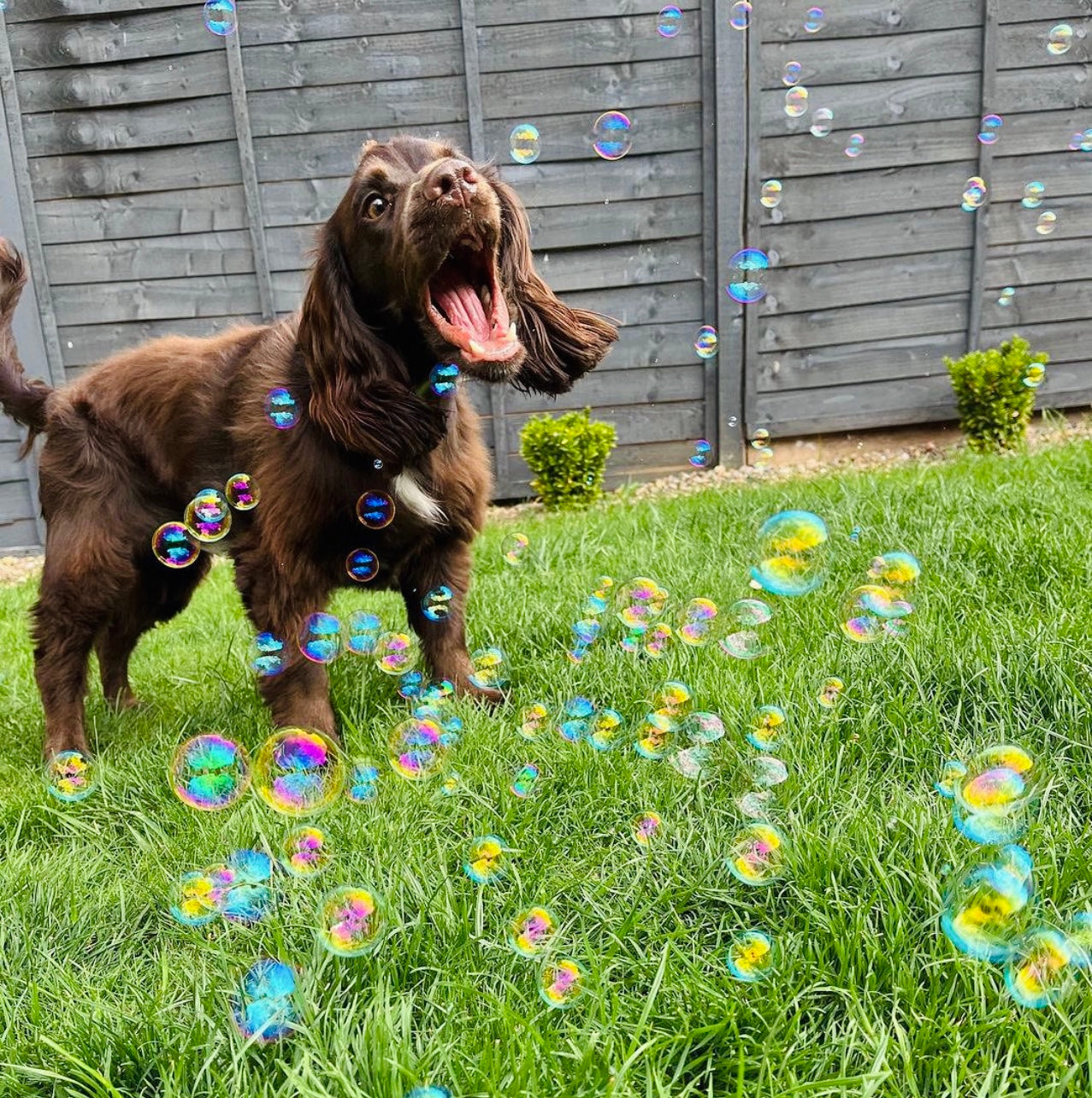 Smokey Bacon Bubbles