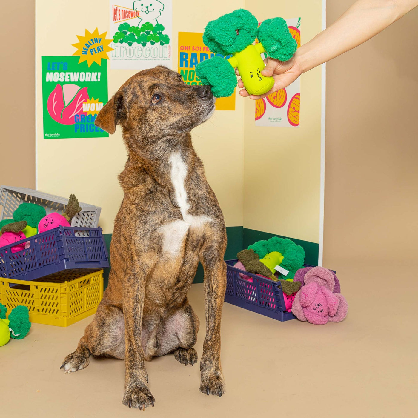 Broccoli Nosework Toy