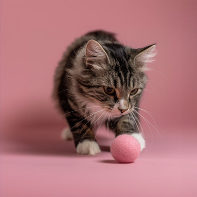 Rose Petal Play Catnip oil infused Felt Balls