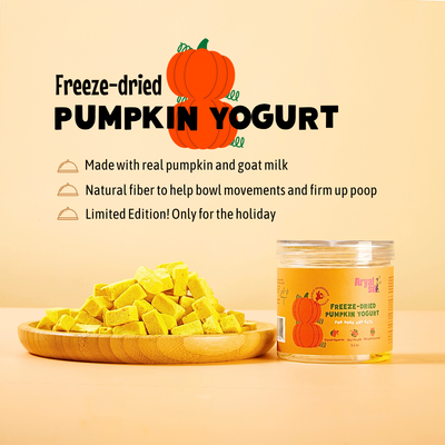 Freeze-Dried Pumpkin Yogurt