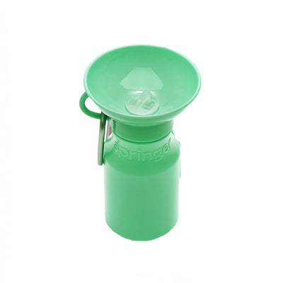 Travel Water Bottle 15oz - Mint Green