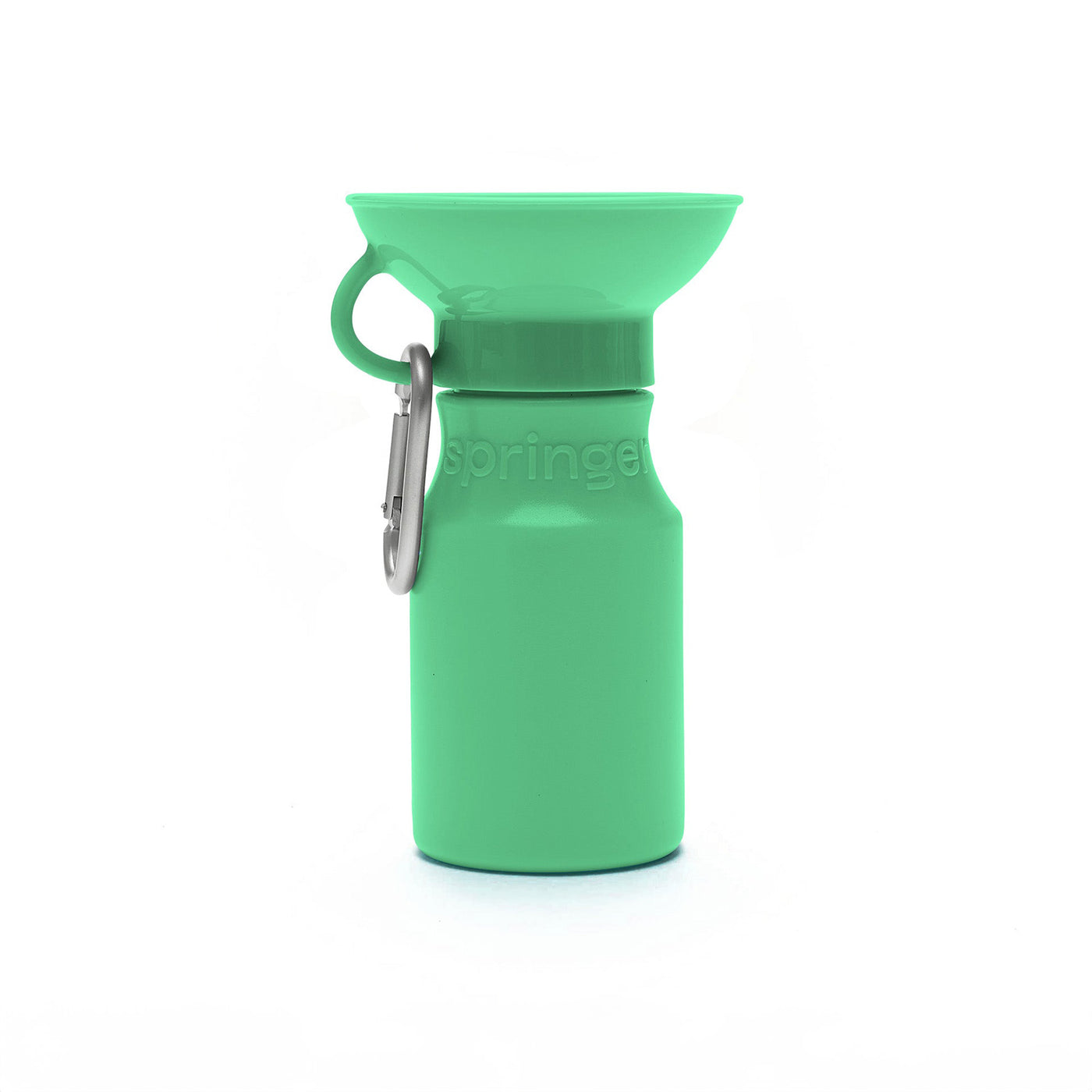 Travel Water Bottle 15oz - Mint Green