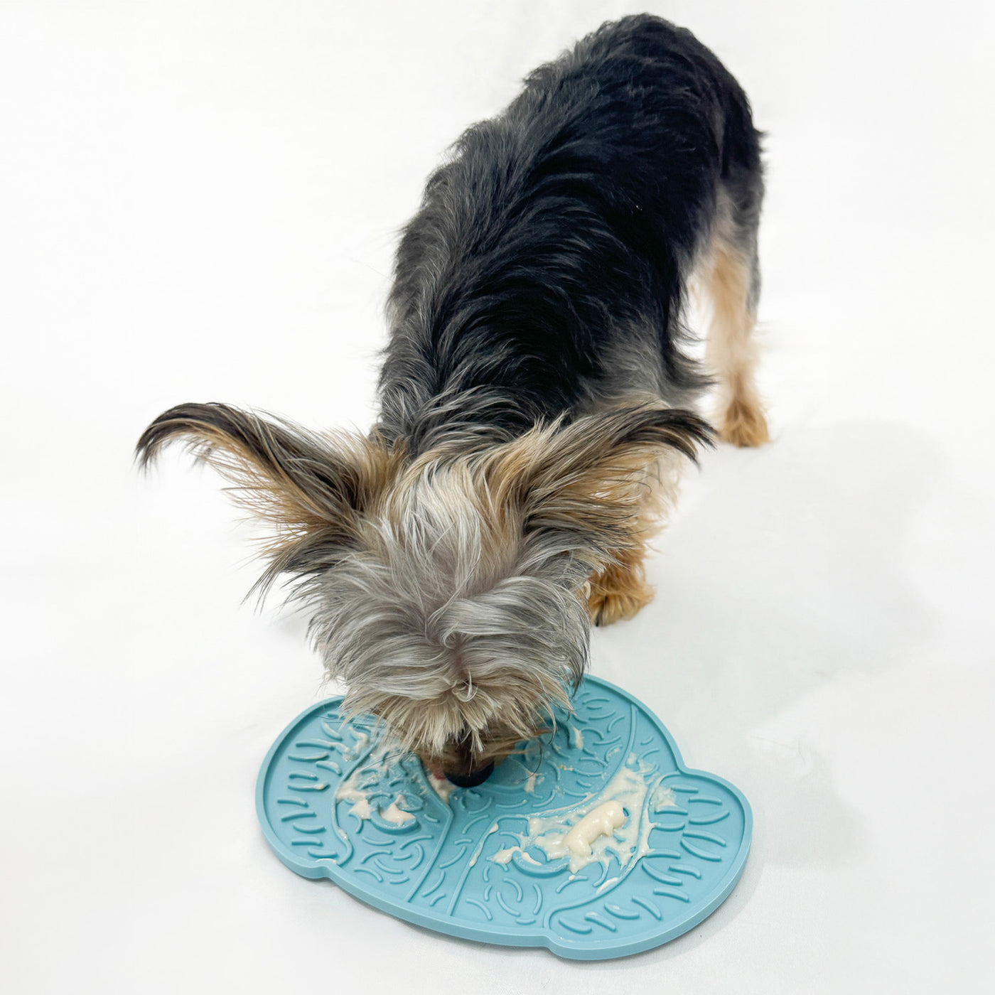 Pawfect Treat Lick Mat - Baby Blue