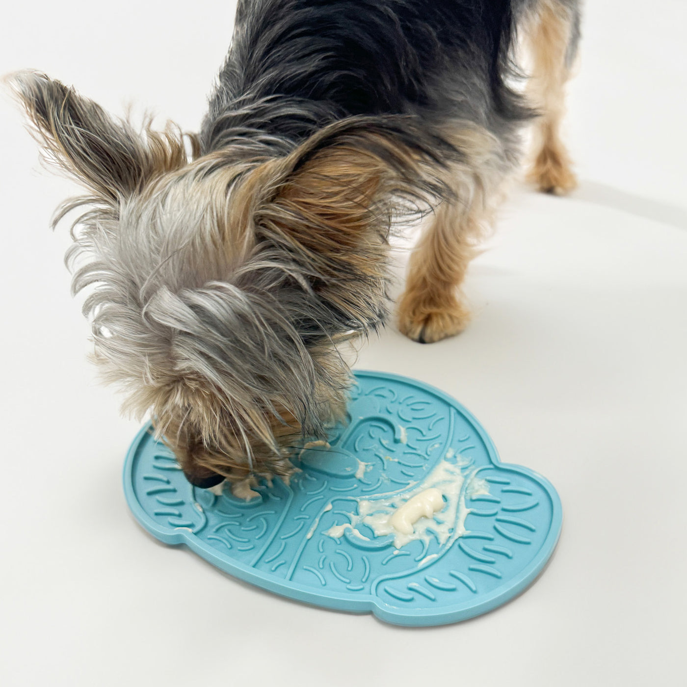 Pawfect Treat Lick Mat - Baby Blue